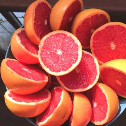 Grapefruit Pink Natural Blend Essential Oil 5